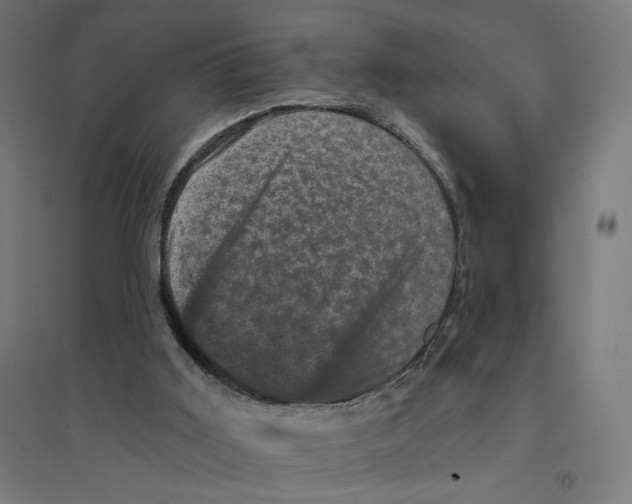 X0000094440011200712061148