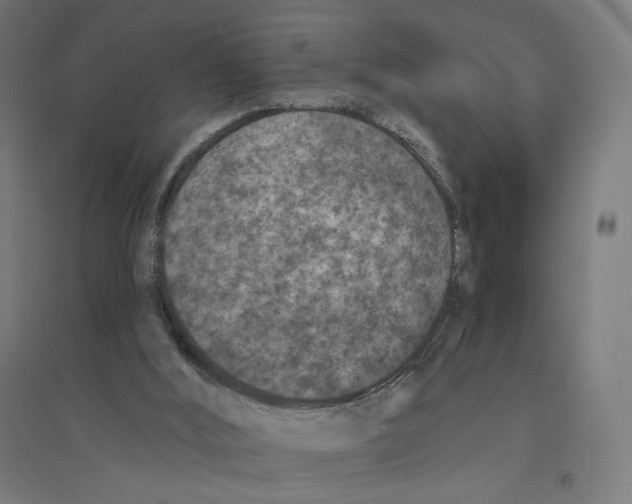 X0000094440012200712061148