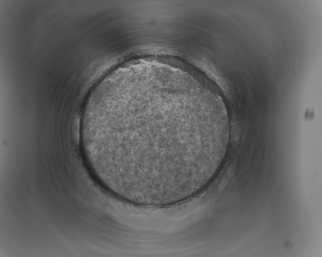 X0000094440014200712061148