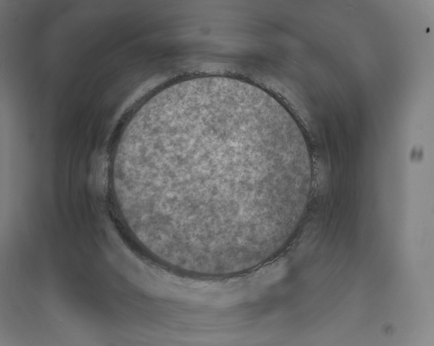 X0000094440016200712061148