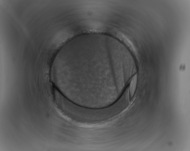 X0000094440017200712061148