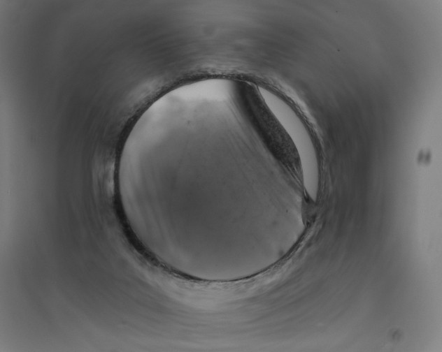 X0000094440019200712061148