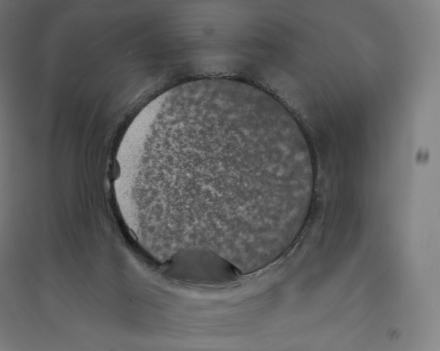 X0000094440021200712061148