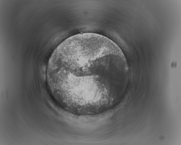 X0000094440022200712061148