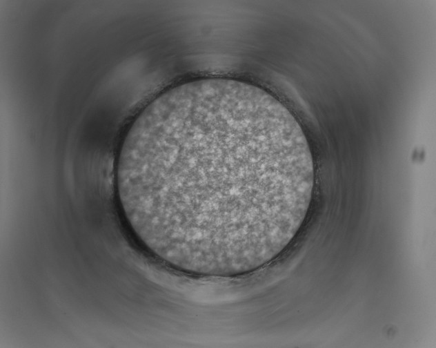 X0000094440024200712061148