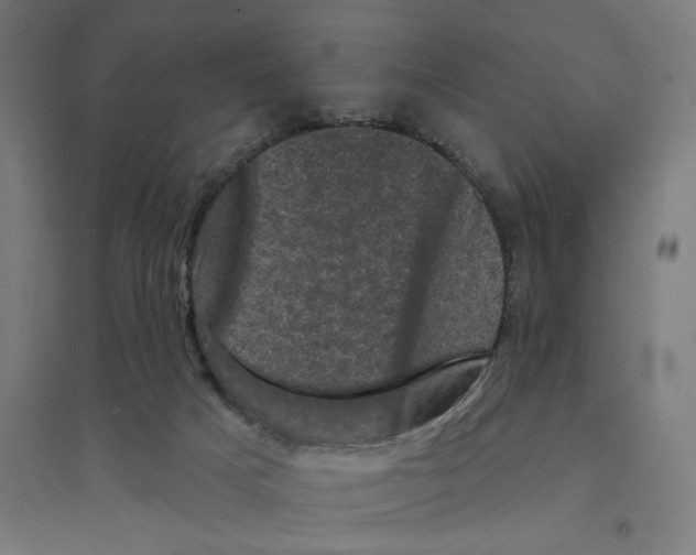 X0000094440025200712061148