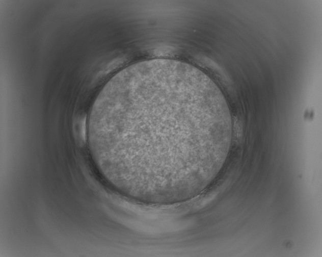 X0000094440028200712061148