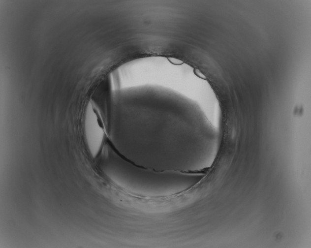 X0000094440031200712061148