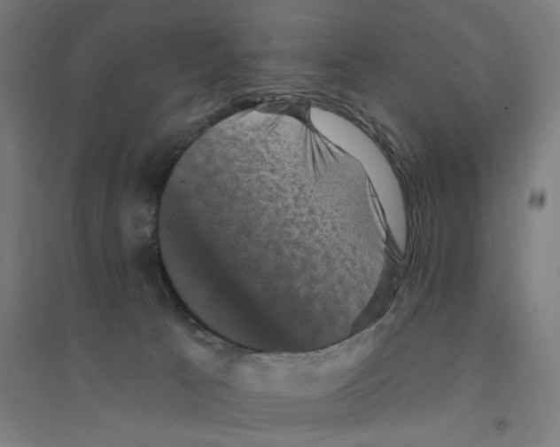 X0000094440033200712061148