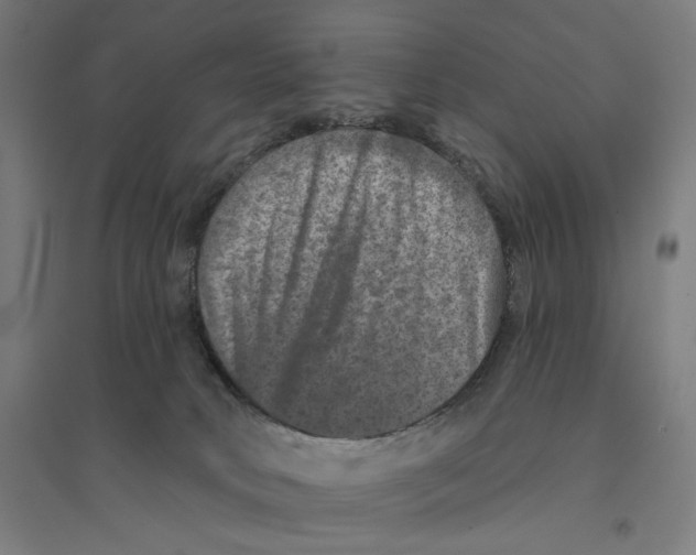 X0000094440034200712061148