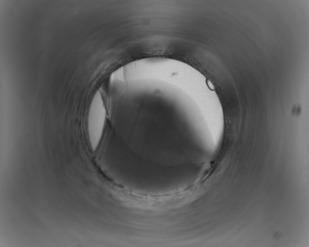 X0000094440035200712061148