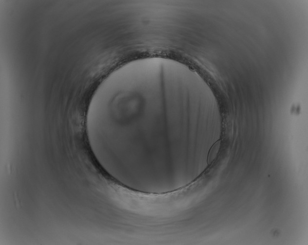 X0000094440039200712061148