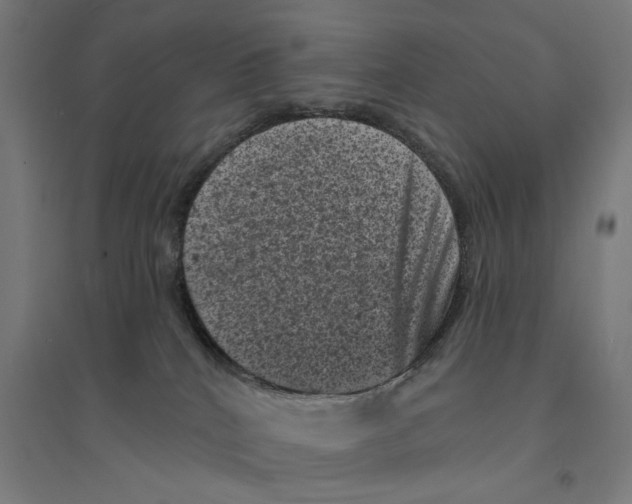 X0000094440040200712061148