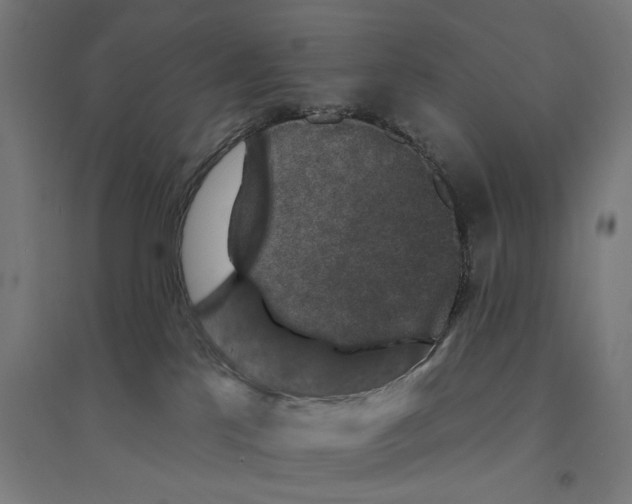 X0000094440041200712061148