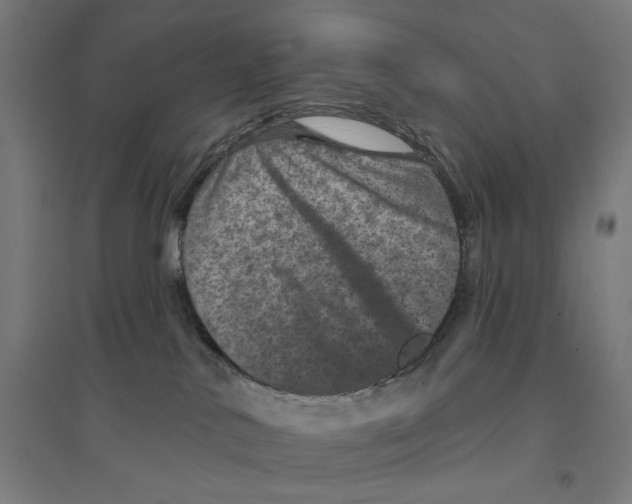 X0000094440042200712061148