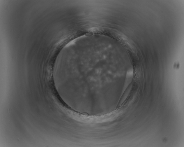 X0000094440043200712061148