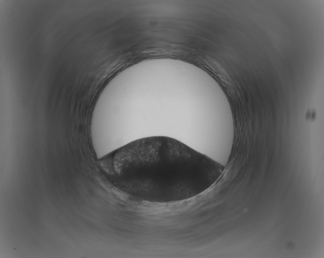 X0000094440045200712061148