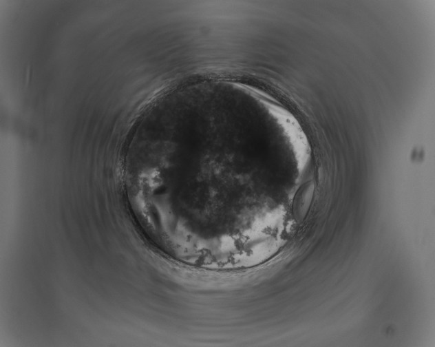 X0000094440048200712061148