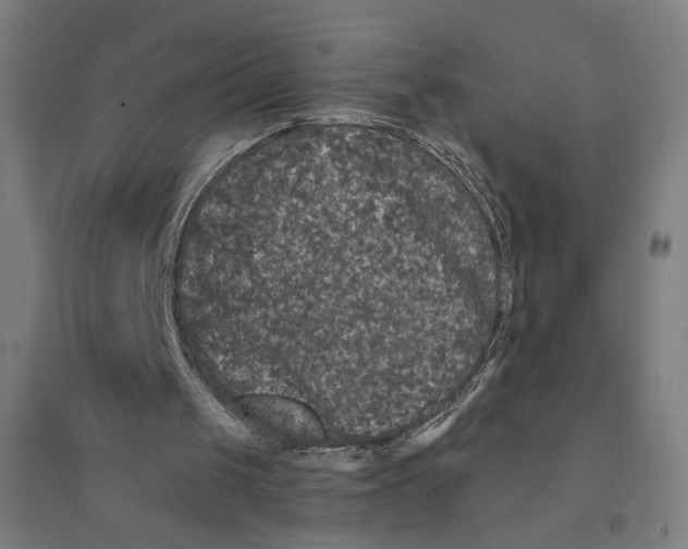 X0000094440049200712061147