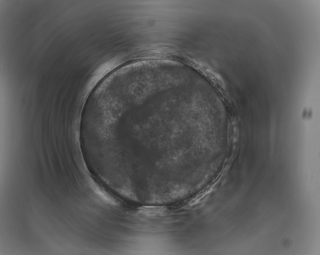 X0000094440051200712061147