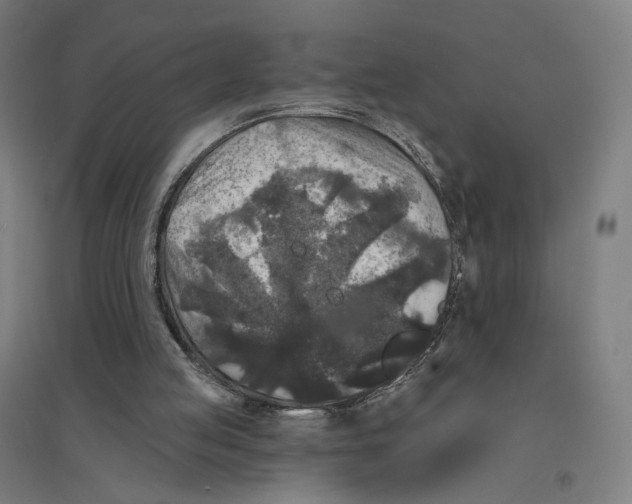 X0000094440053200712061147