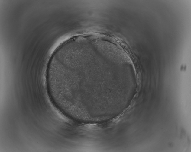 X0000094440054200712061147