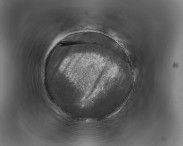 X0000094440056200712061147