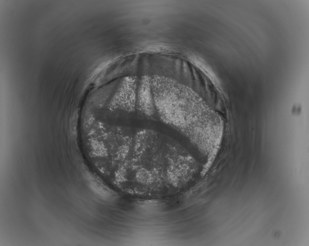 X0000094440058200712061147