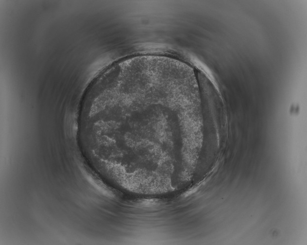 X0000094440059200712061147