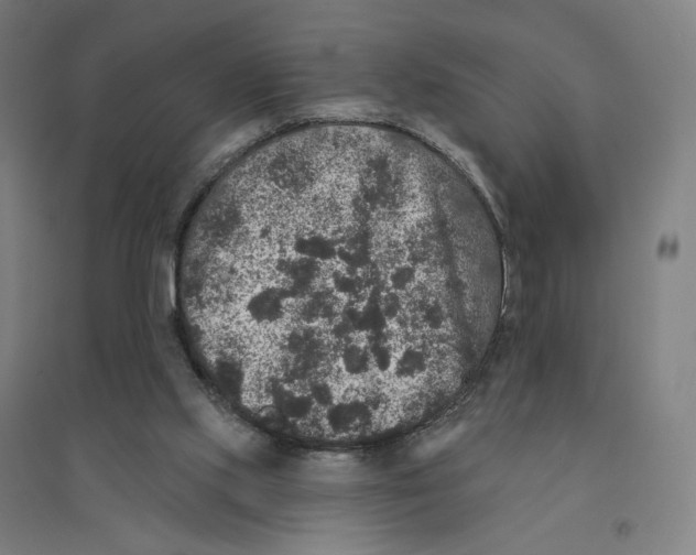 X0000094440061200712061147