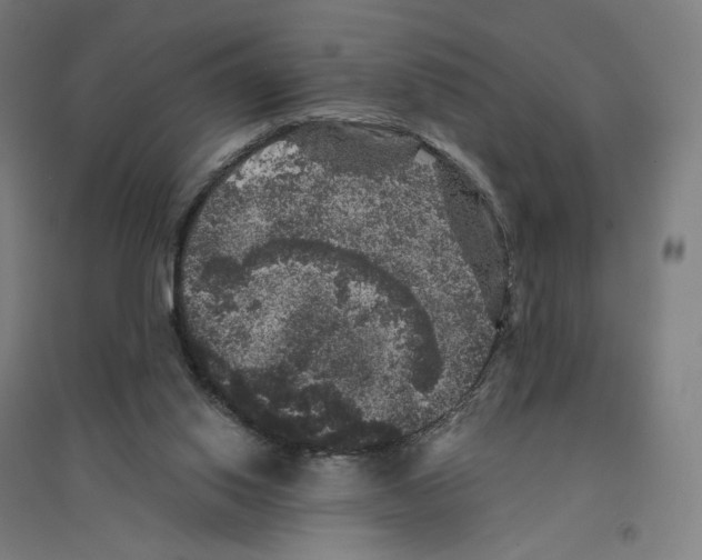 X0000094440062200712061147