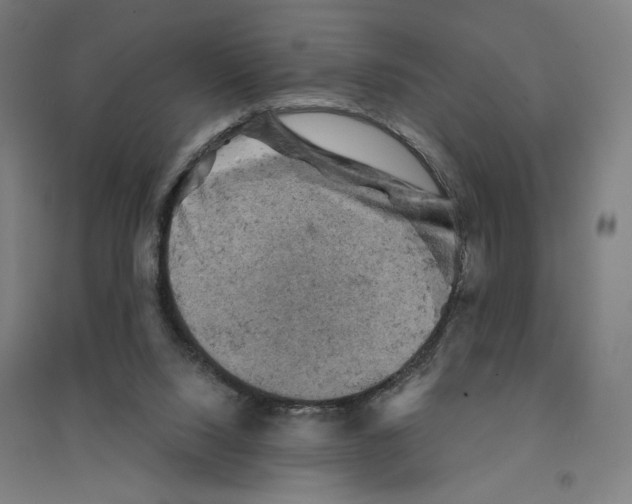 X0000094440064200712061147