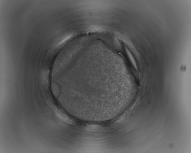 X0000094440066200712061147