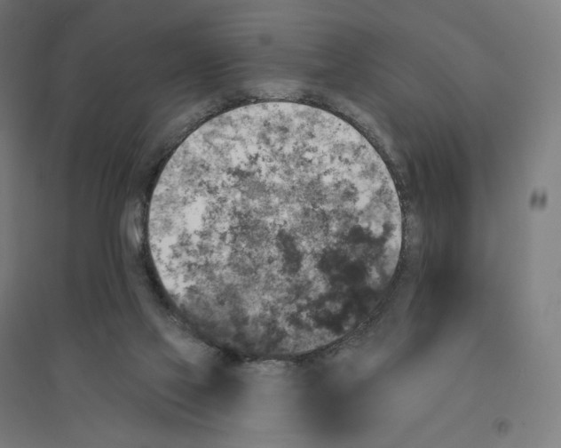 X0000094440069200712061147