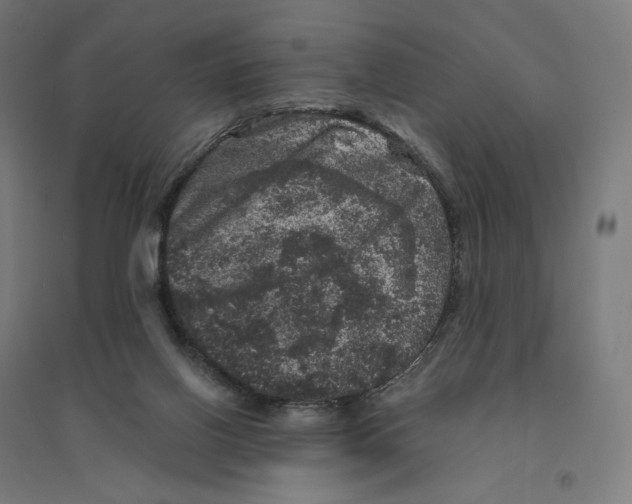 X0000094440070200712061147