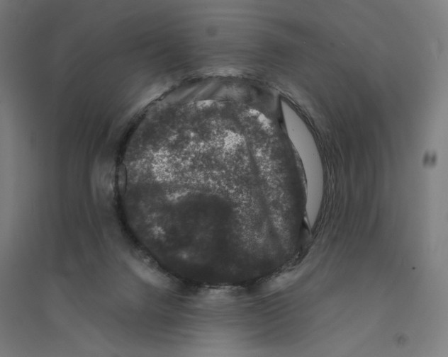 X0000094440072200712061147