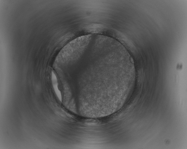 X0000094440073200712061148