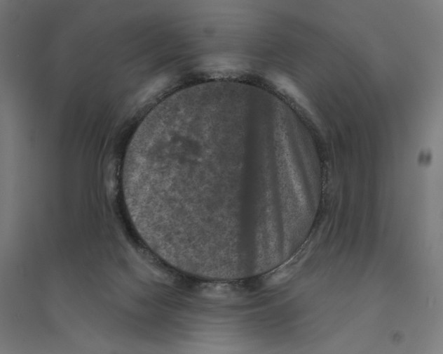 X0000094440074200712061148