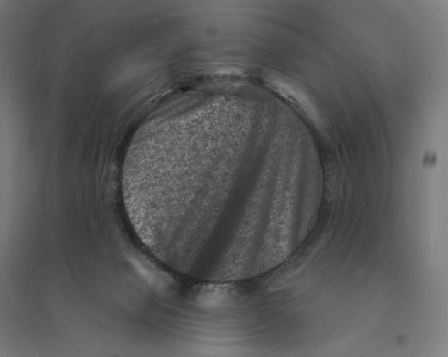 X0000094440077200712061148