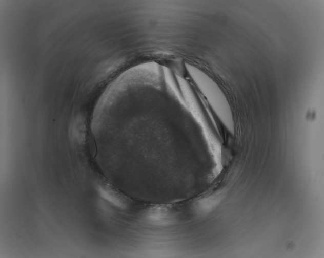 X0000094440080200712061148