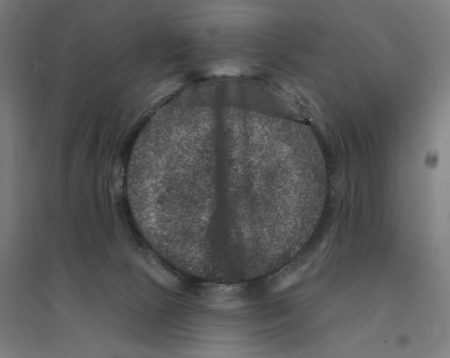 X0000094440081200712061148