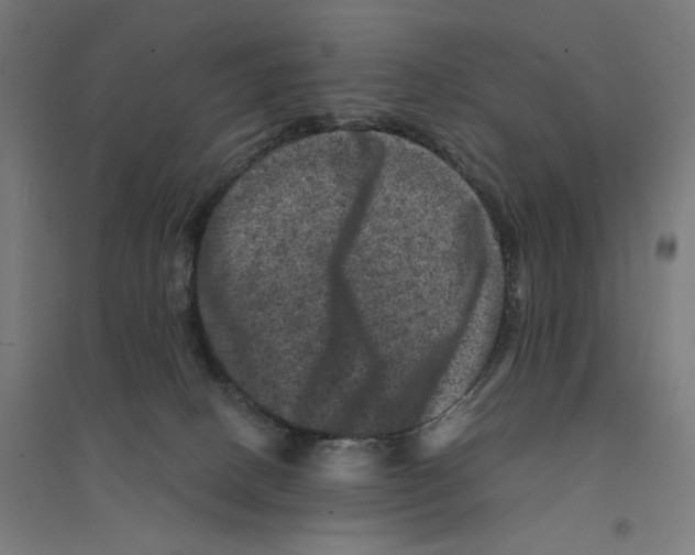 X0000094440082200712061148