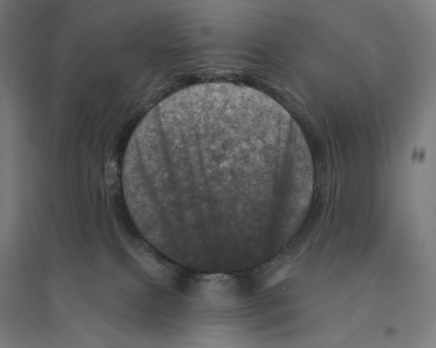 X0000094440087200712061148