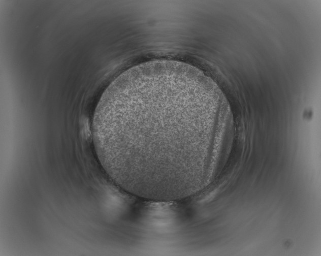 X0000094440089200712061148