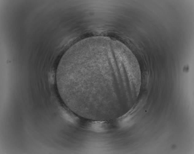 X0000094440090200712061148