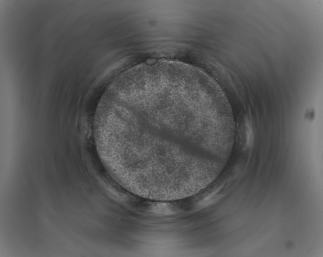 X0000094440091200712061148