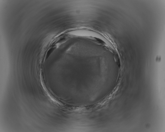 X0000094440097200712061147