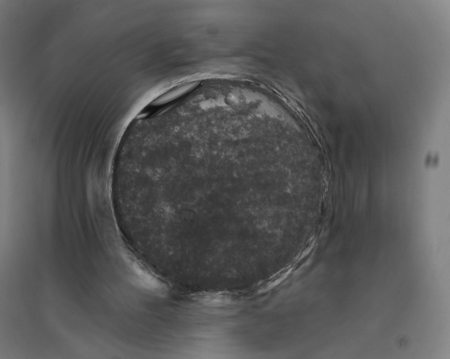 X0000094440100200712061147