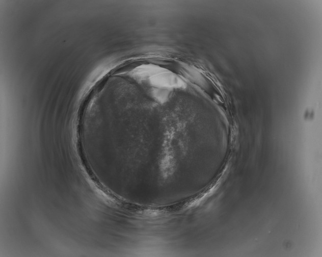 X0000094440101200712061147