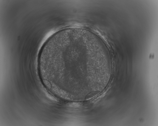 X0000094440102200712061147